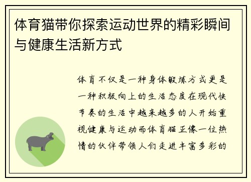 体育猫带你探索运动世界的精彩瞬间与健康生活新方式